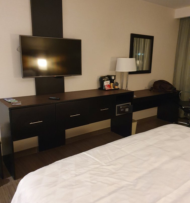 Holiday Inn Tampico Altamira by IHG主图