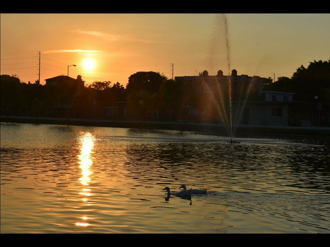 Parque Bicentenario景点图片