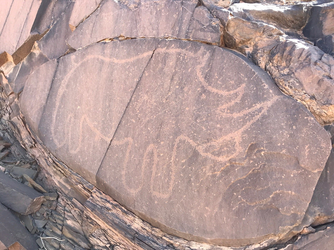 Oasis Dar Ouanou主图