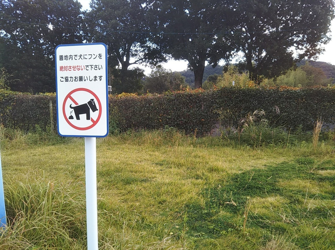 Ogi Parking Area Outbound-小城市必去景点