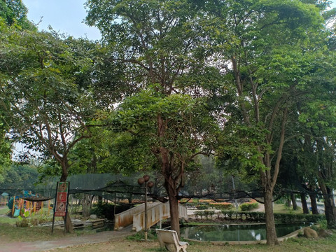 Rock Garden-Kampung Gubah必去景点