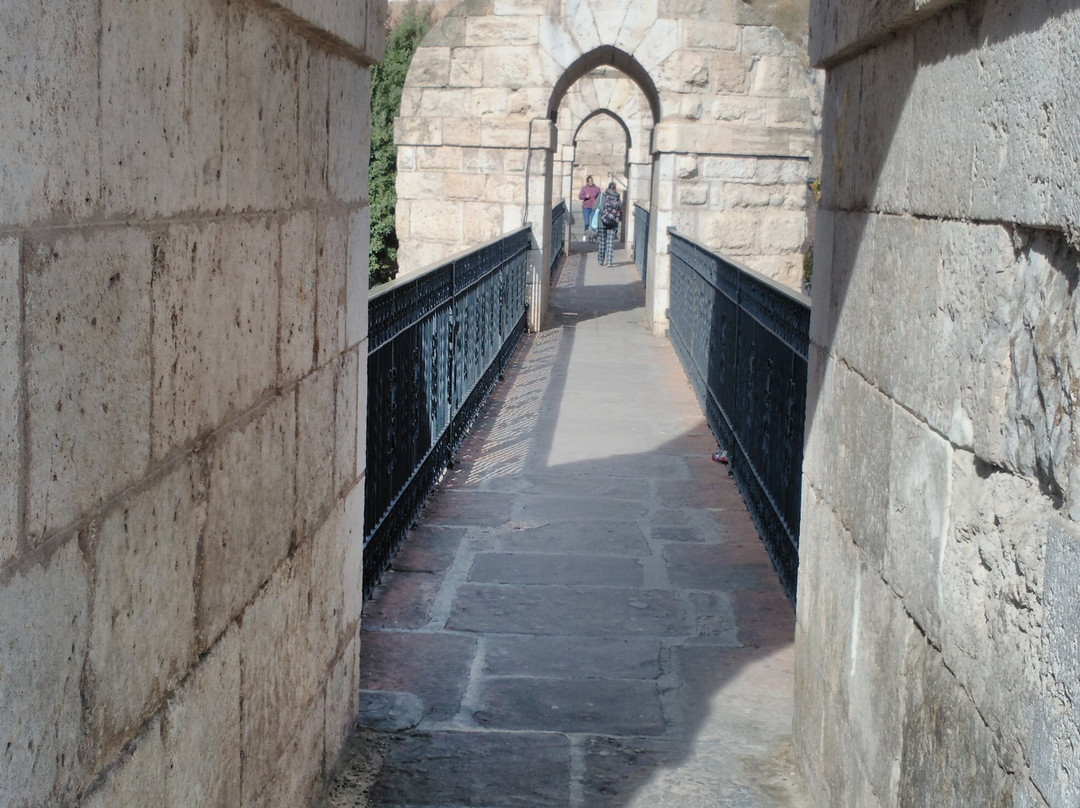 Acueducto Viaducto de los Arcos-特鲁埃尔必去景点