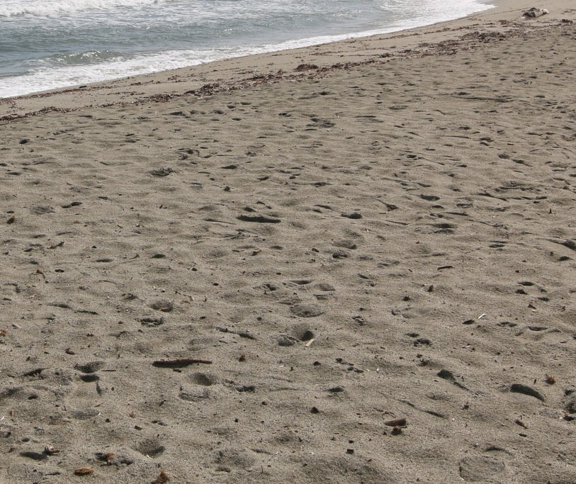 Plage d'Alistro-San Giuliano必去景点