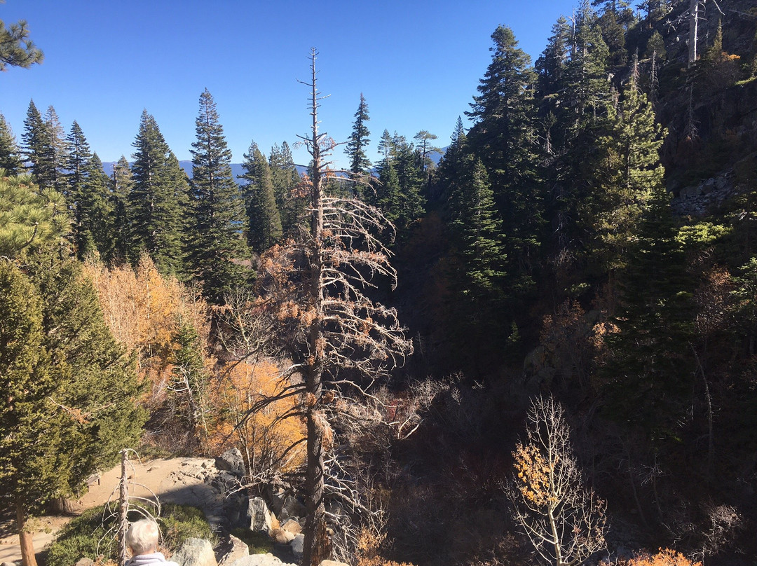 Eagle Falls Trail-塔霍城必去景点