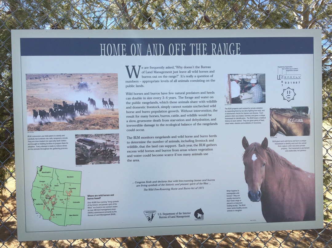Ridgecrest Regional Wild Horse and Burro Corrals景点图片