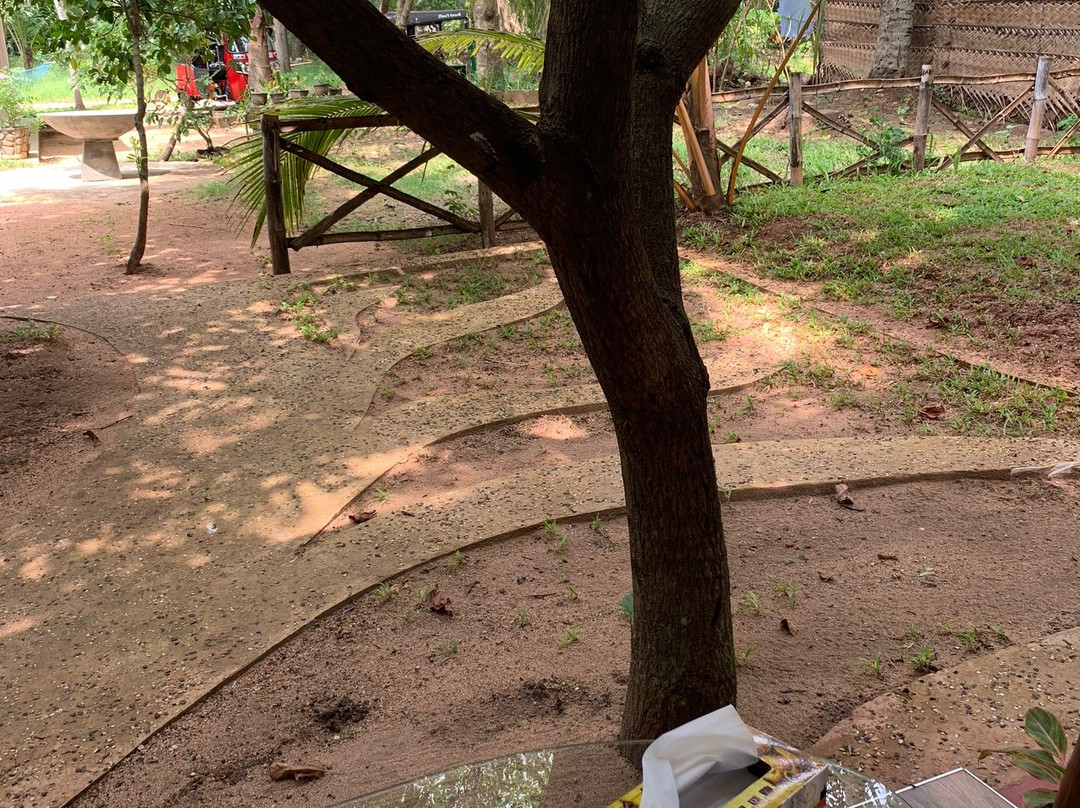 Yaluwa Tourist Rest And Cooking Class主图