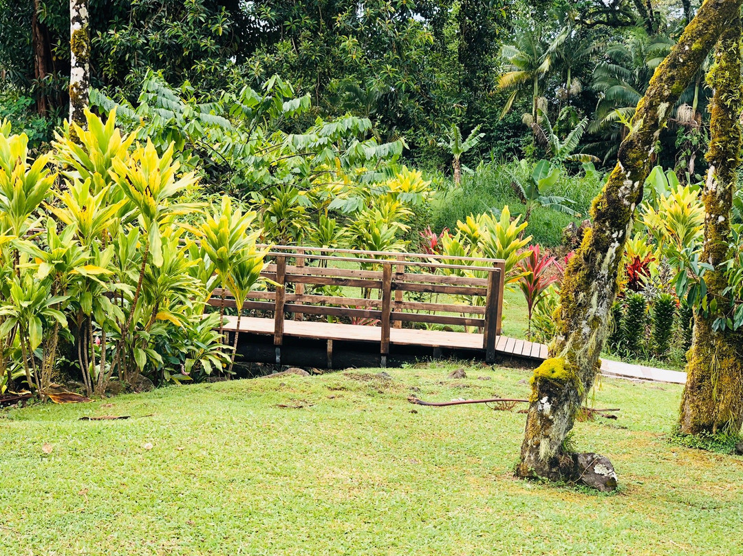 Baha'i House of Worship Samoa-阿皮亚必去景点