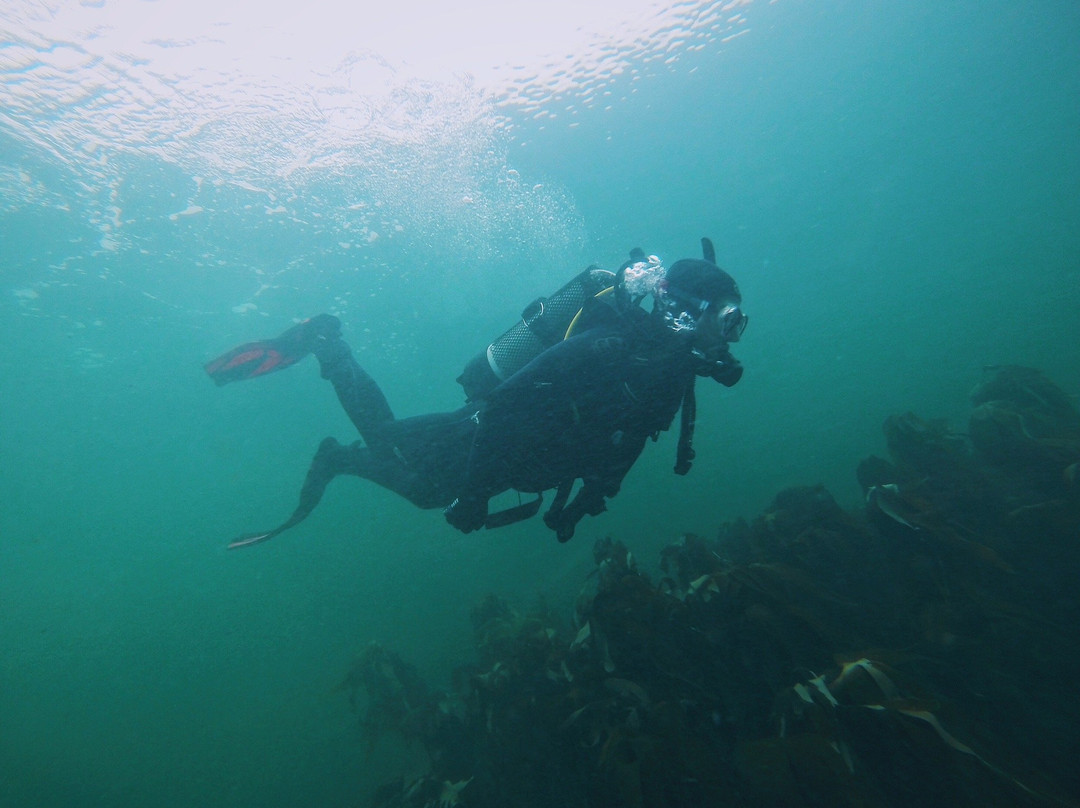 Red Duck Diving-Castlerock必去景点