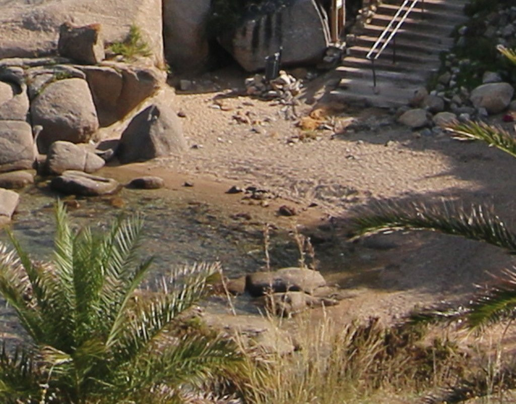 Plage du Roncu-卡尔维必去景点