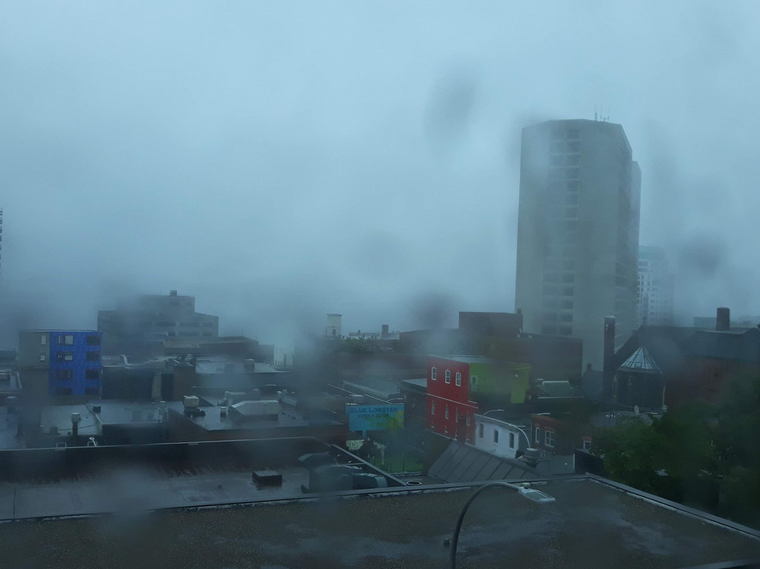 Cambridge Suites - Halifax主图