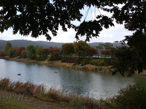 Jangja Lake Park-九里市必去景点