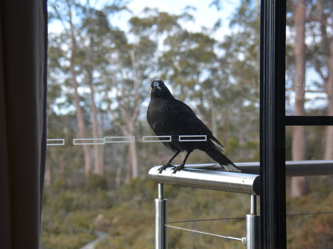摇篮山城堡酒店主图