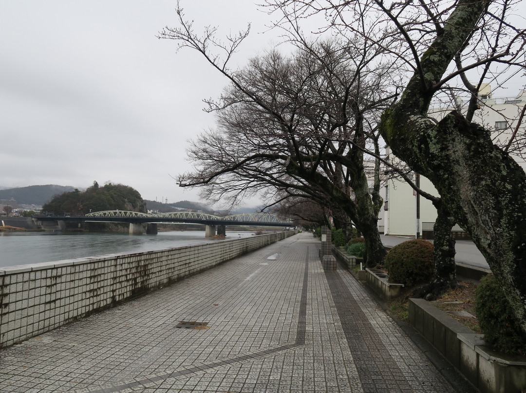 Kiso River景点图片