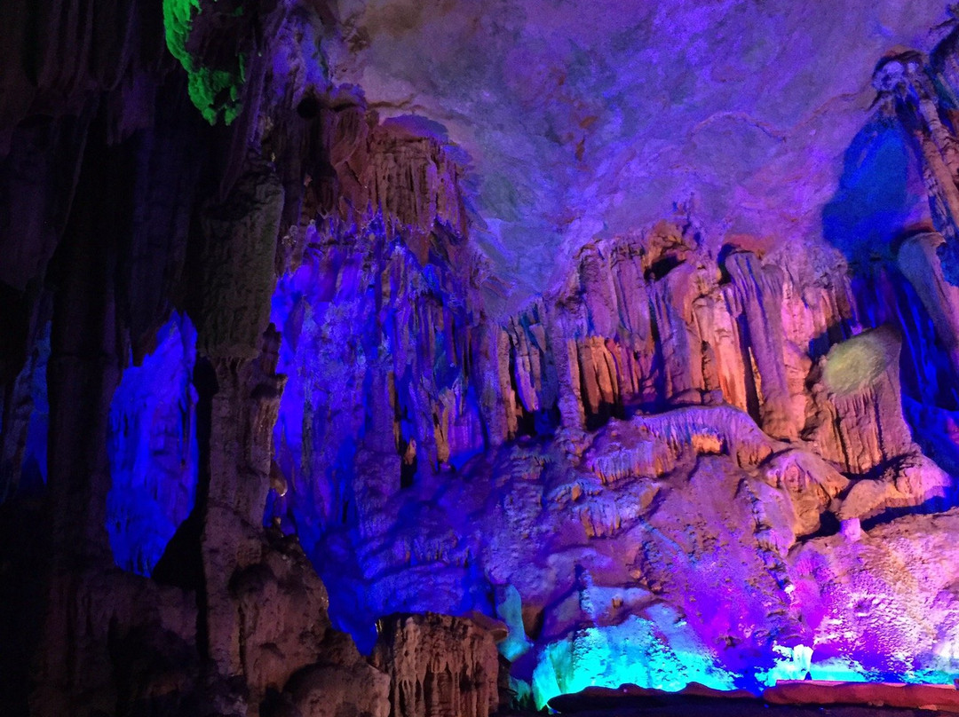 Elysian Tour-西安市必去景点