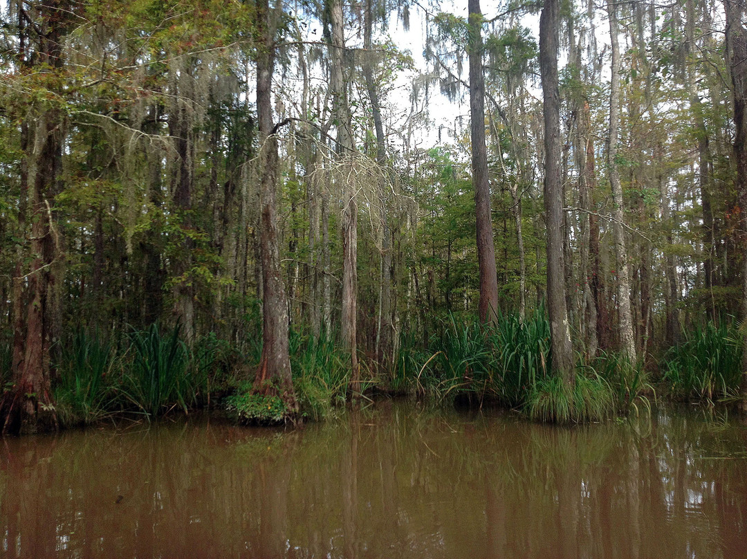 Dr. Wagner's Honey Island Swamp Tours-斯莱德尔必去景点