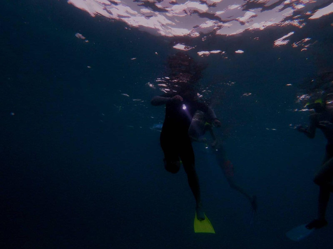 Night Snorkeling Adventure /Mauritius-Pointe d'Esny必去景点