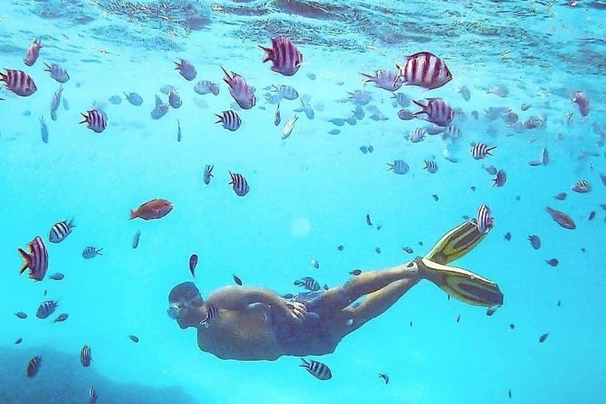 Antique Tours and Safaris-孥归必去景点