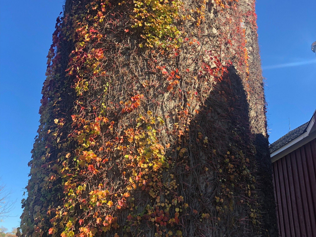 Hopkins Vineyard-New Preston必去景点