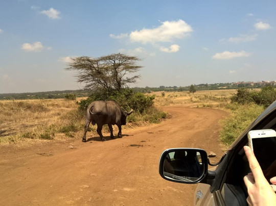 judy adventures-蒙巴萨必去景点