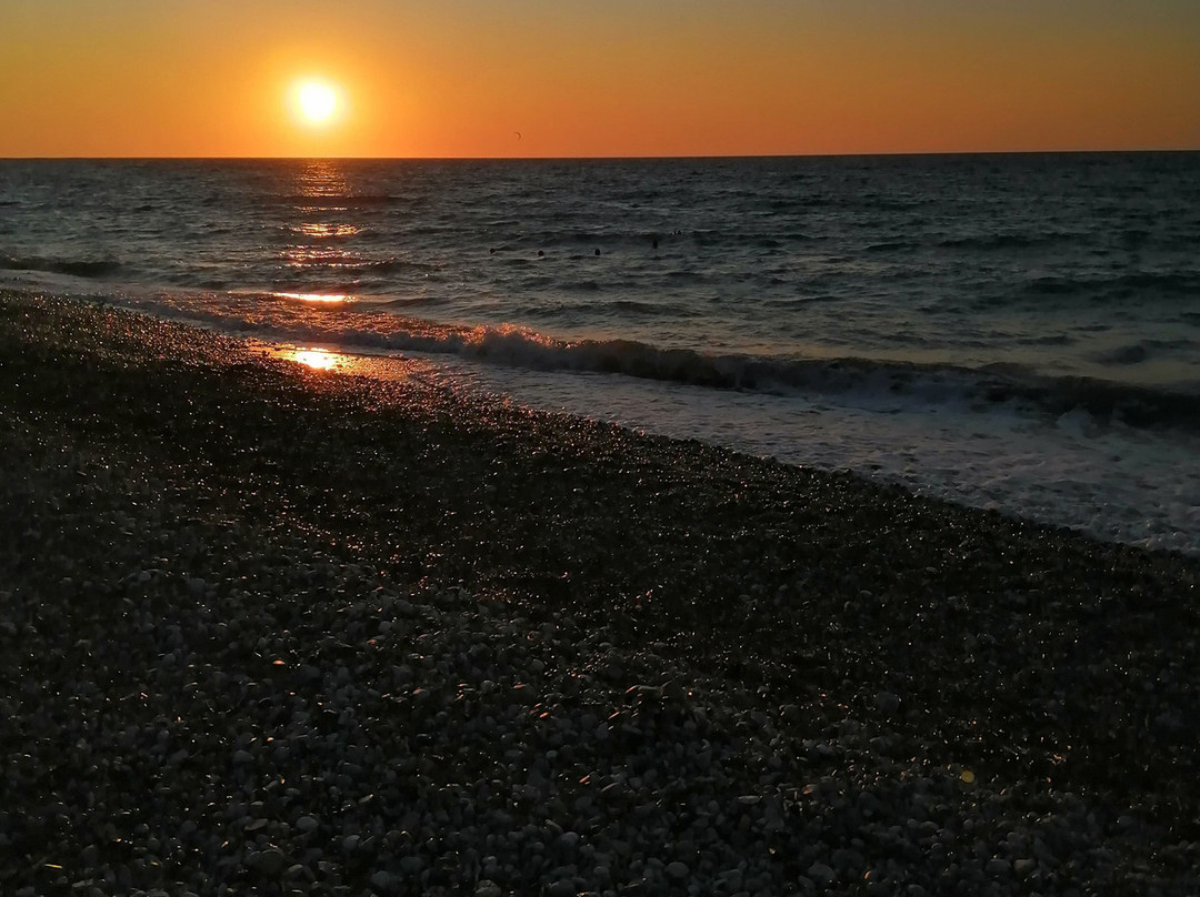 Alex Beach Hotel主图