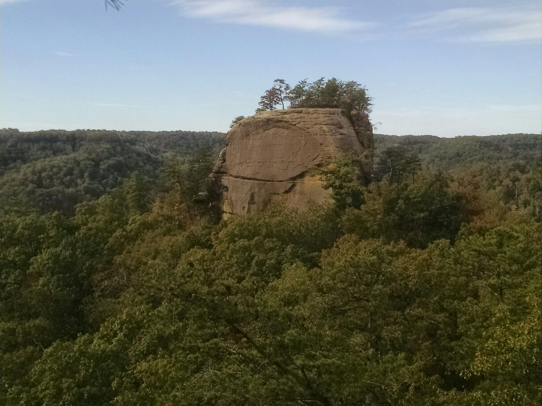 Auxier Ridge Trail #204-Slade必去景点