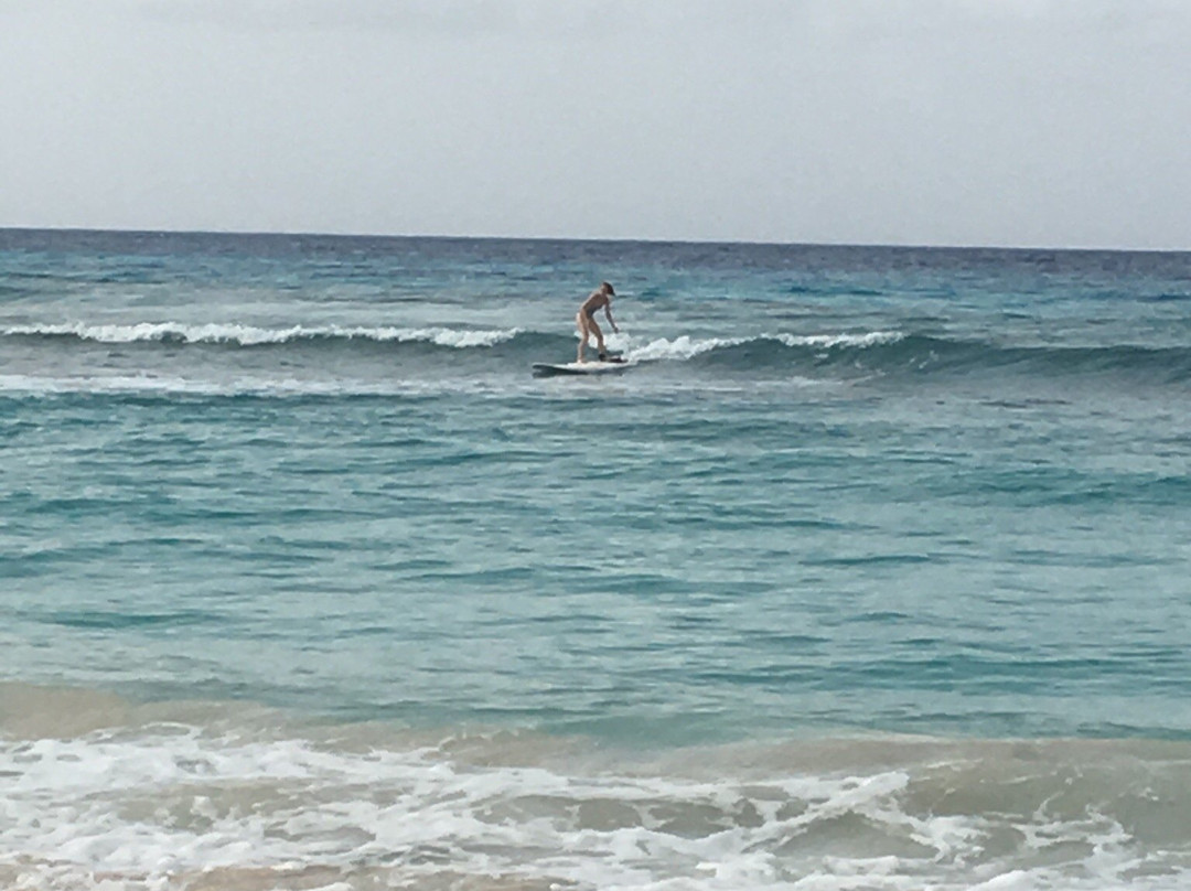 Surf It Up景点图片