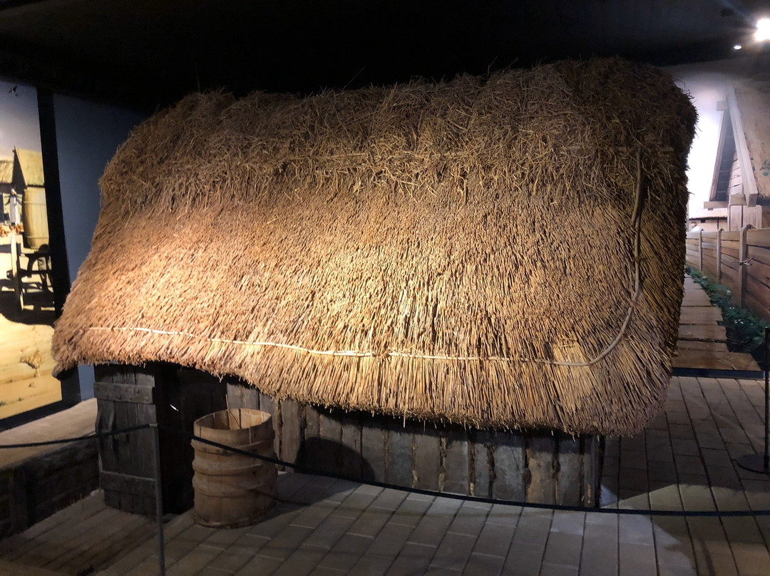 The Viking Museum-欧胡斯必去景点