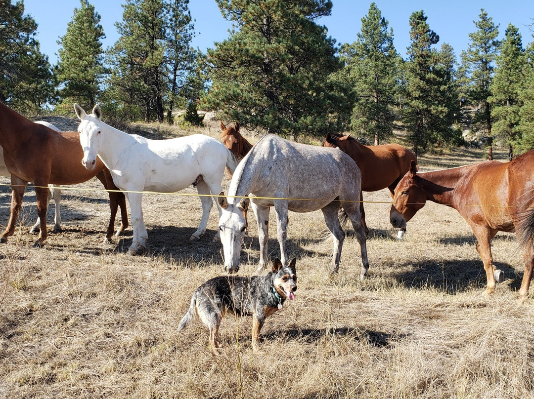 Roundup旅游攻略图片