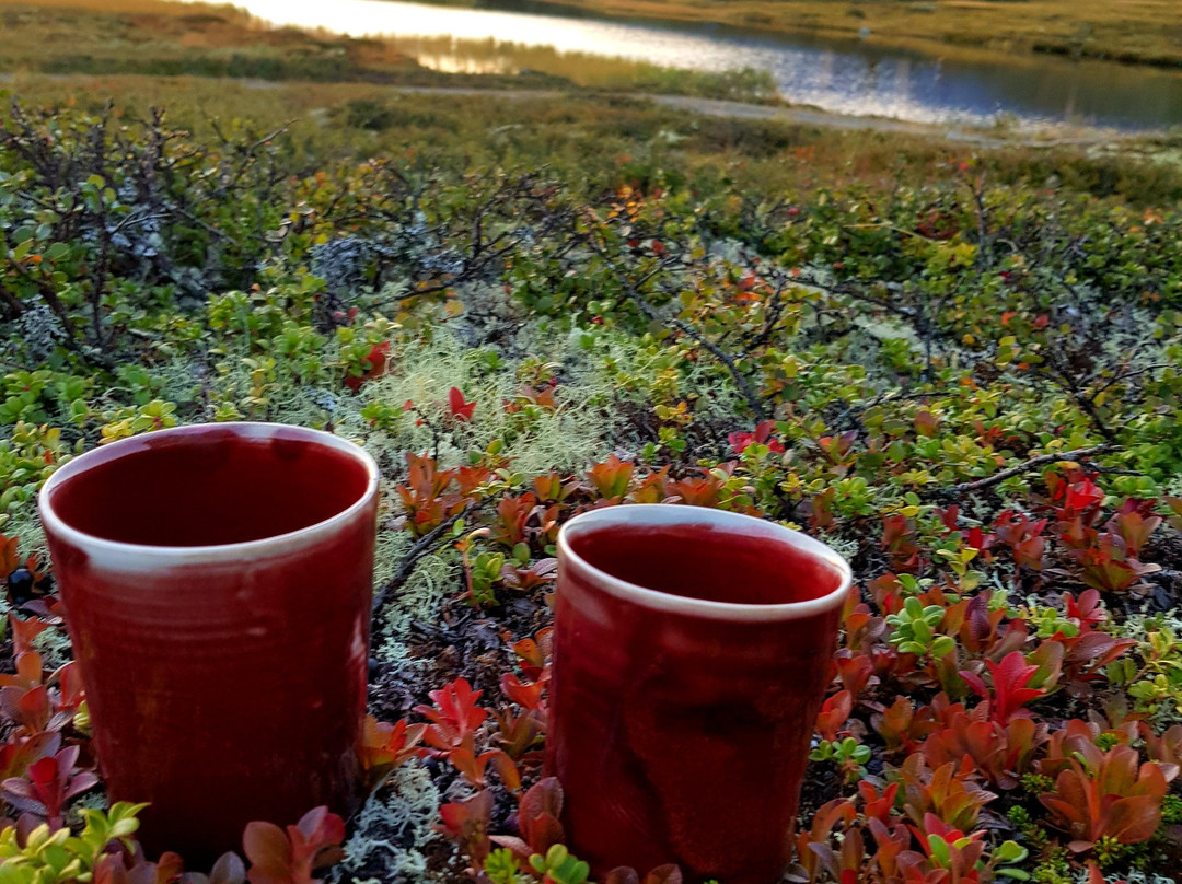 The Velvet Antler Pottery & Gallery景点图片