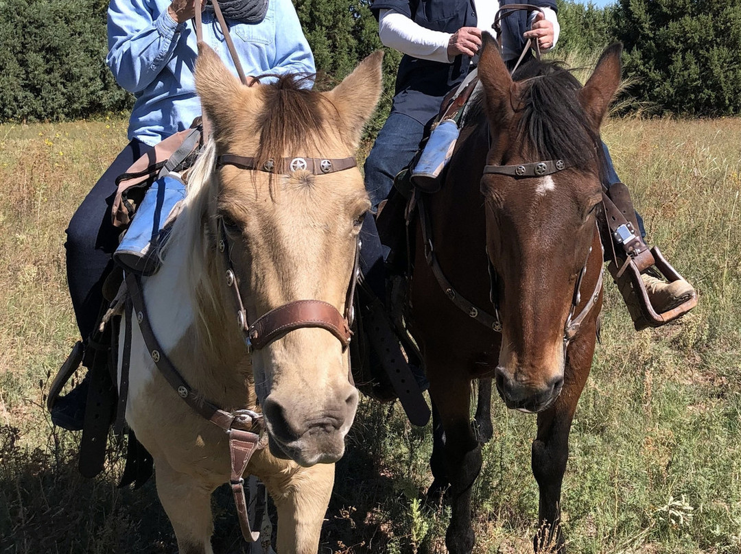 Arizona Horseback Experience景点图片