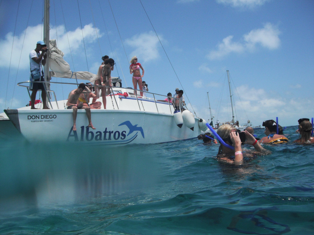 Albatros Catamarans景点图片