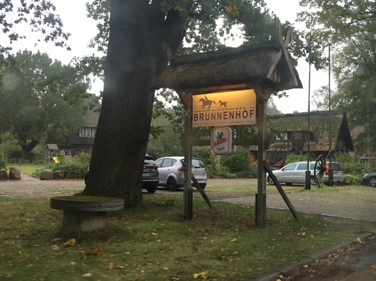 Suhlendorf旅游攻略图片