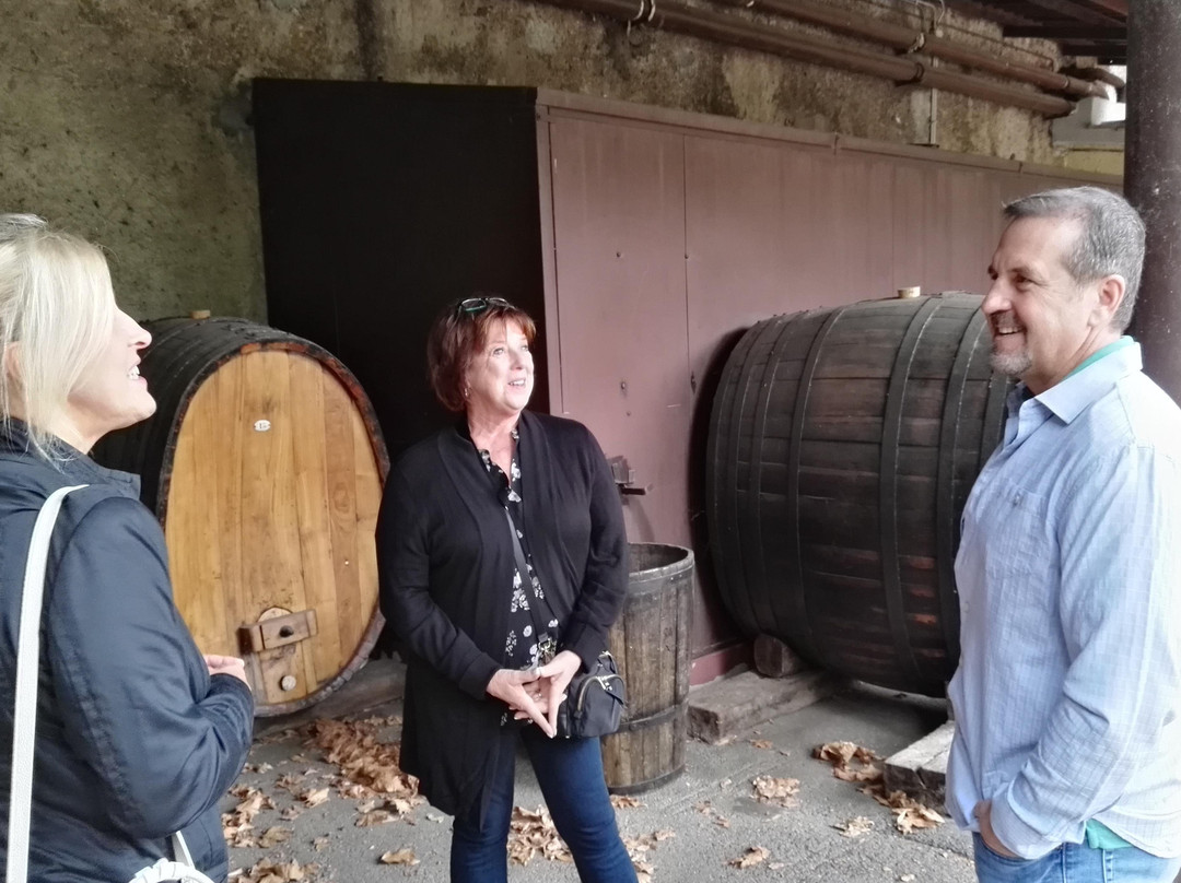 Enotria Wine Experience景点图片