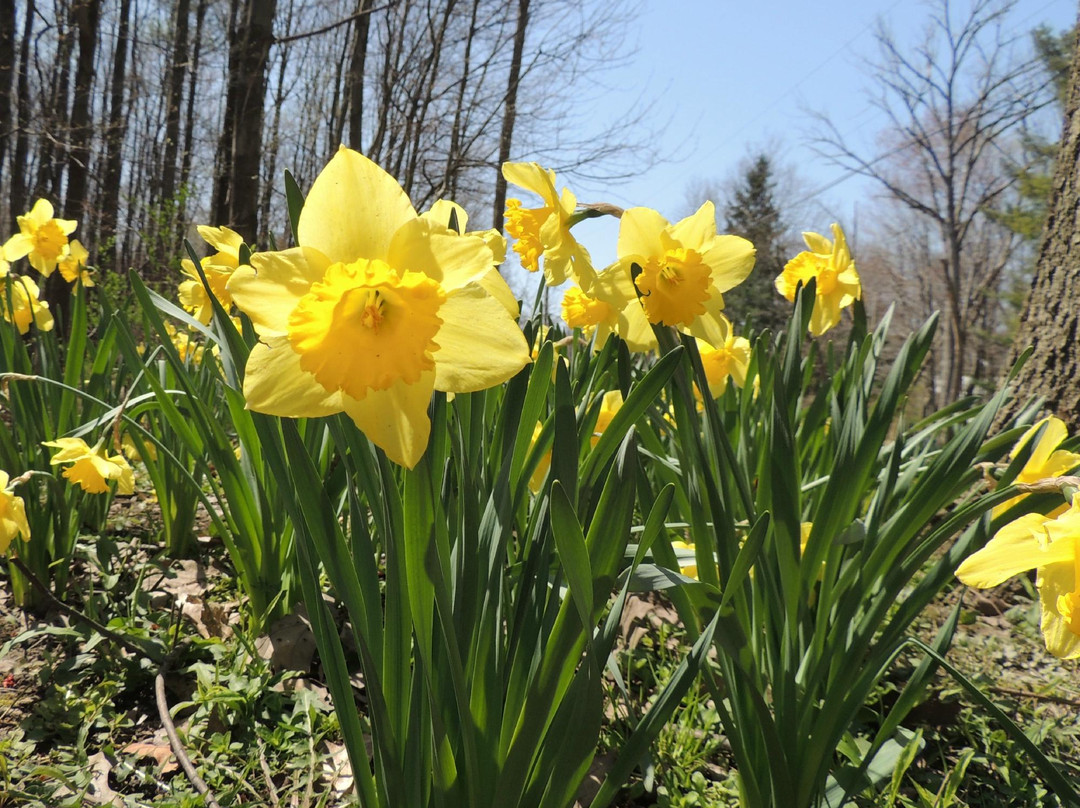 Furnace Run Metro Park-Richfield必去景点