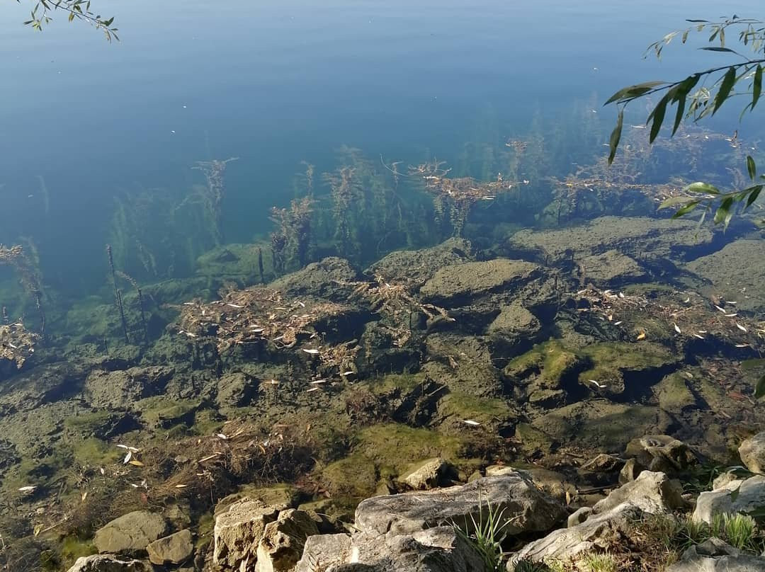 Velenje Beach-Velenje必去景点