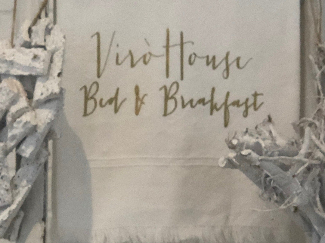 Viro House主图