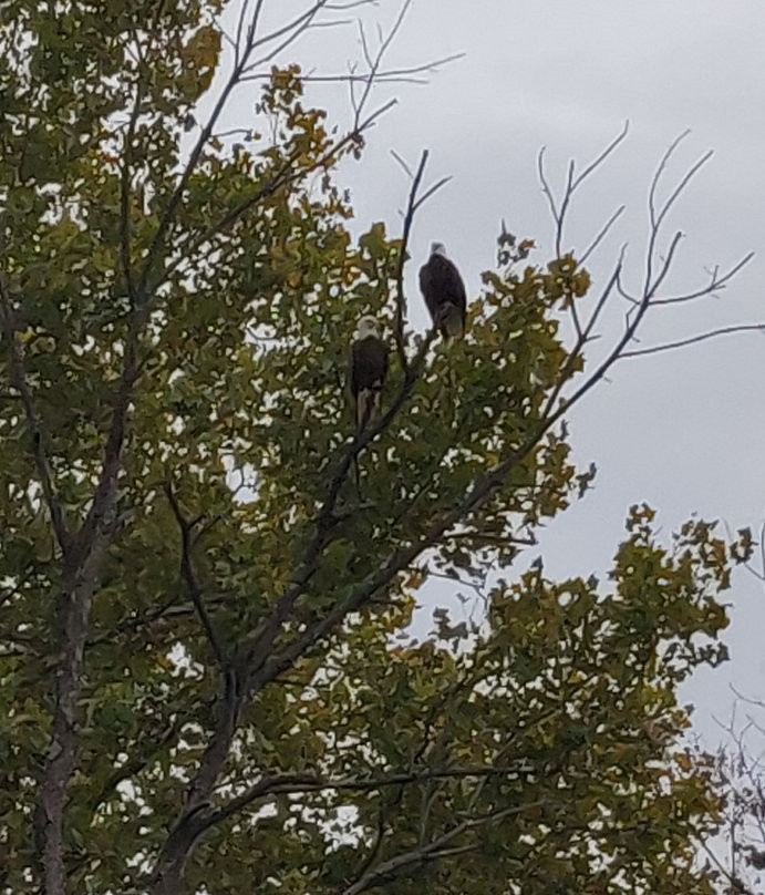 Bladensburg Waterfront Park-Bladensburg必去景点