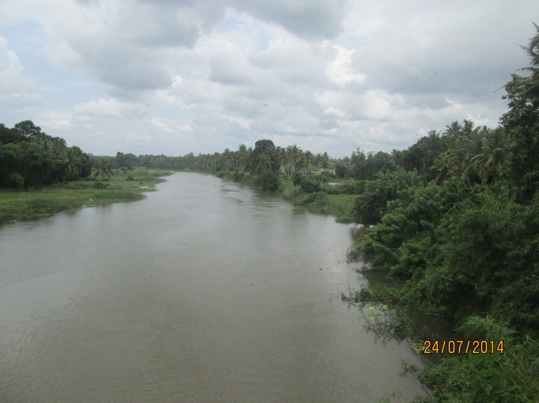 Achankovil River-Pathanamthitta必去景点