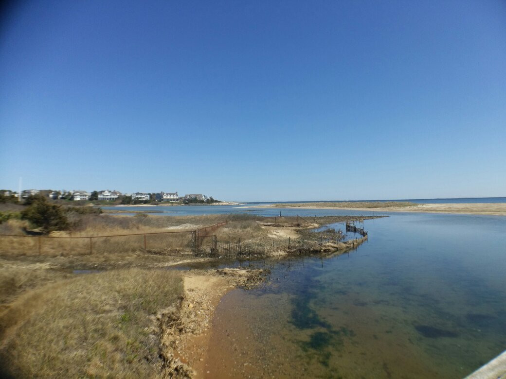 Ridgevale Beach景点图片