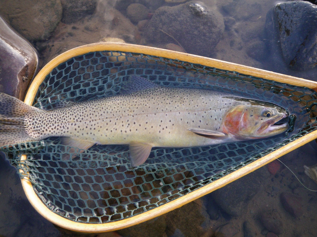 Silver Creek Outfitters-Ketchum必去景点