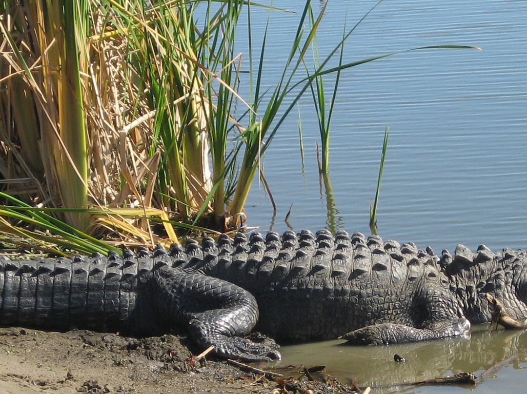 Mulberry旅游景点-Se7en Wetlands