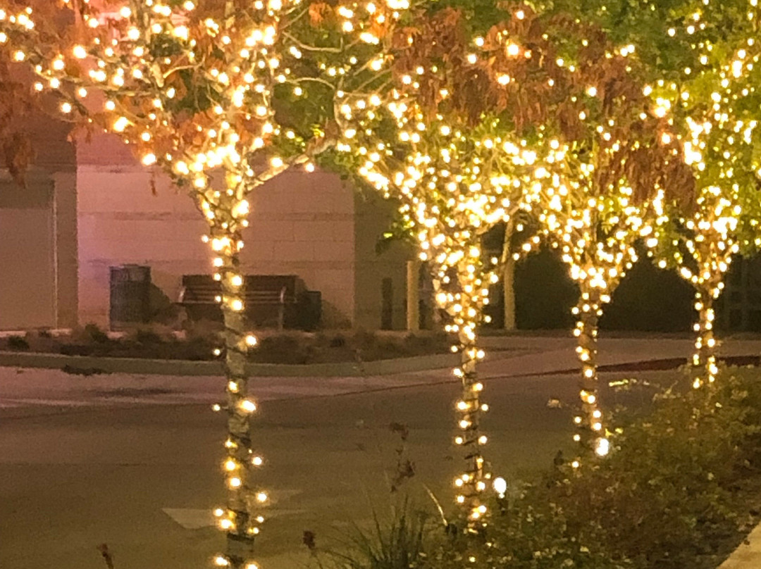 The Shops at Willow Bend-普莱诺必去景点