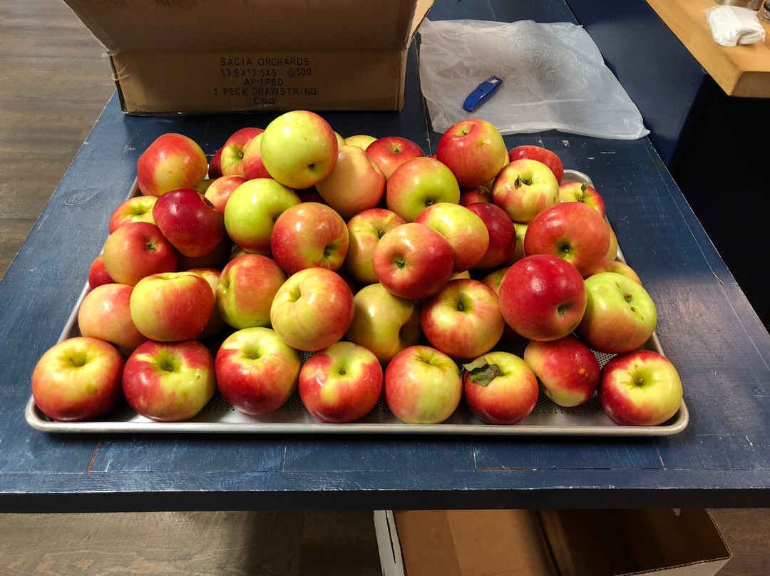 Sacia Orchards Apple Stand景点图片