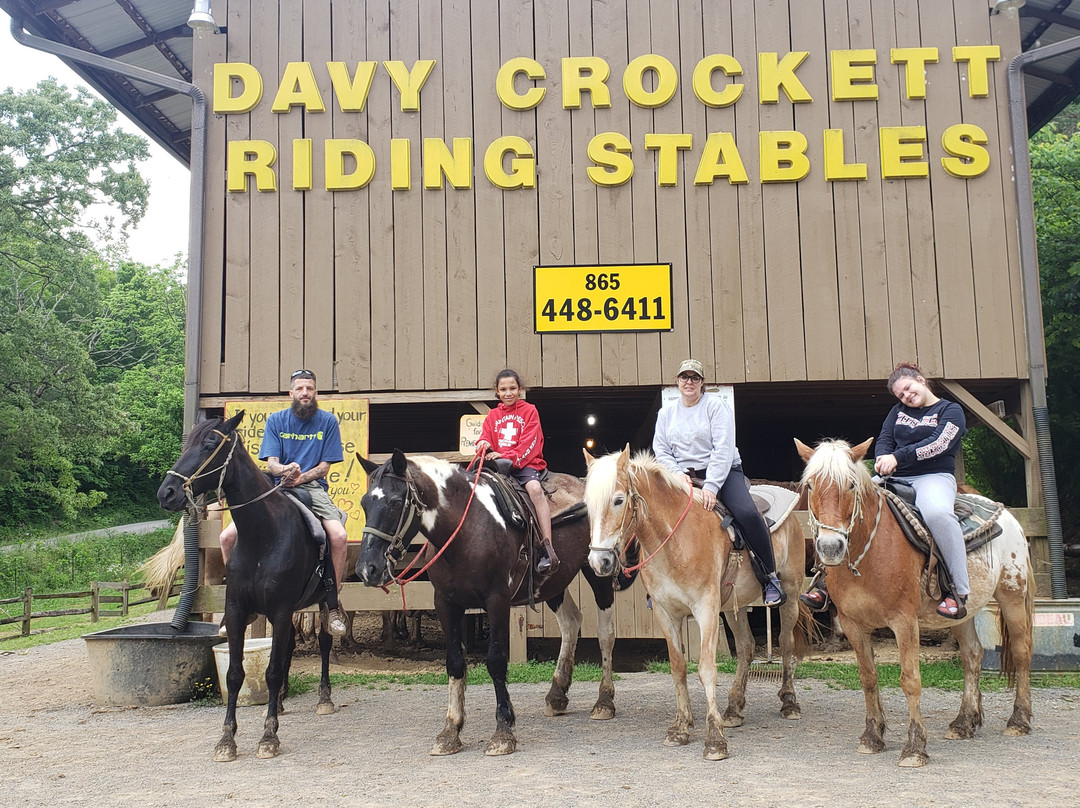 Davy Crockett Riding Stables景点图片