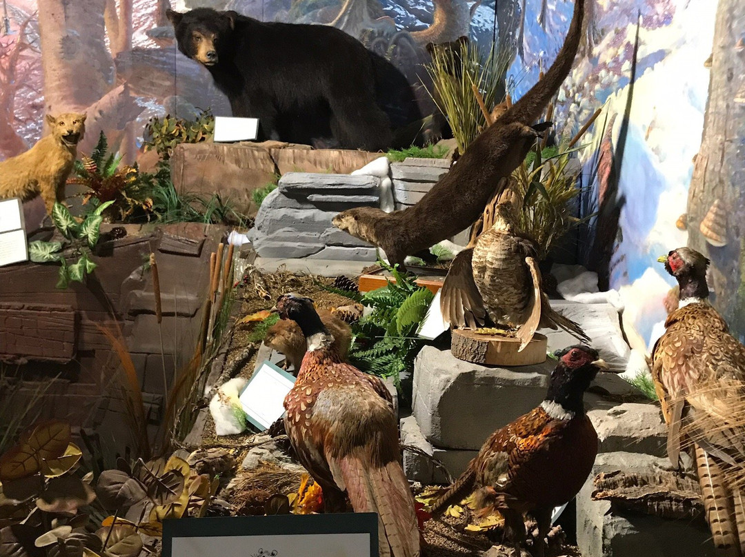 Old Jail Museum-Smethport必去景点