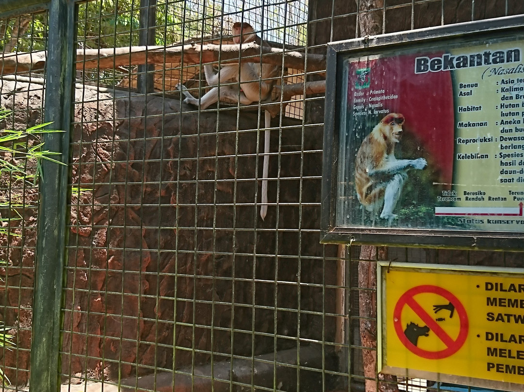 Maharani Zoo & Caves-Lamongan必去景点