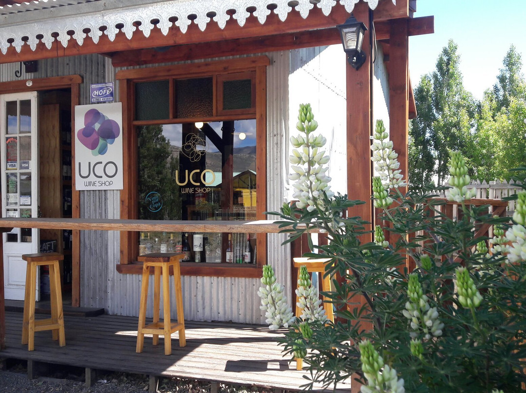 Uco Wine Shop景点图片