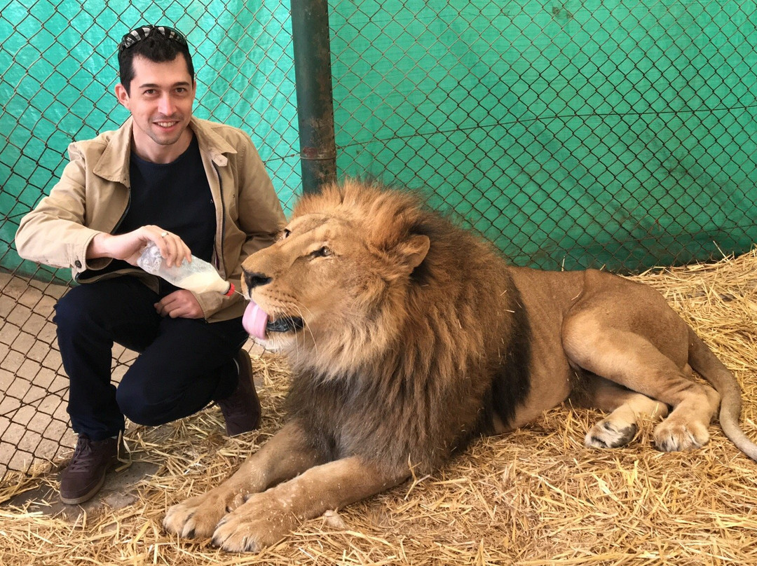 zoologico de Lujan景点图片