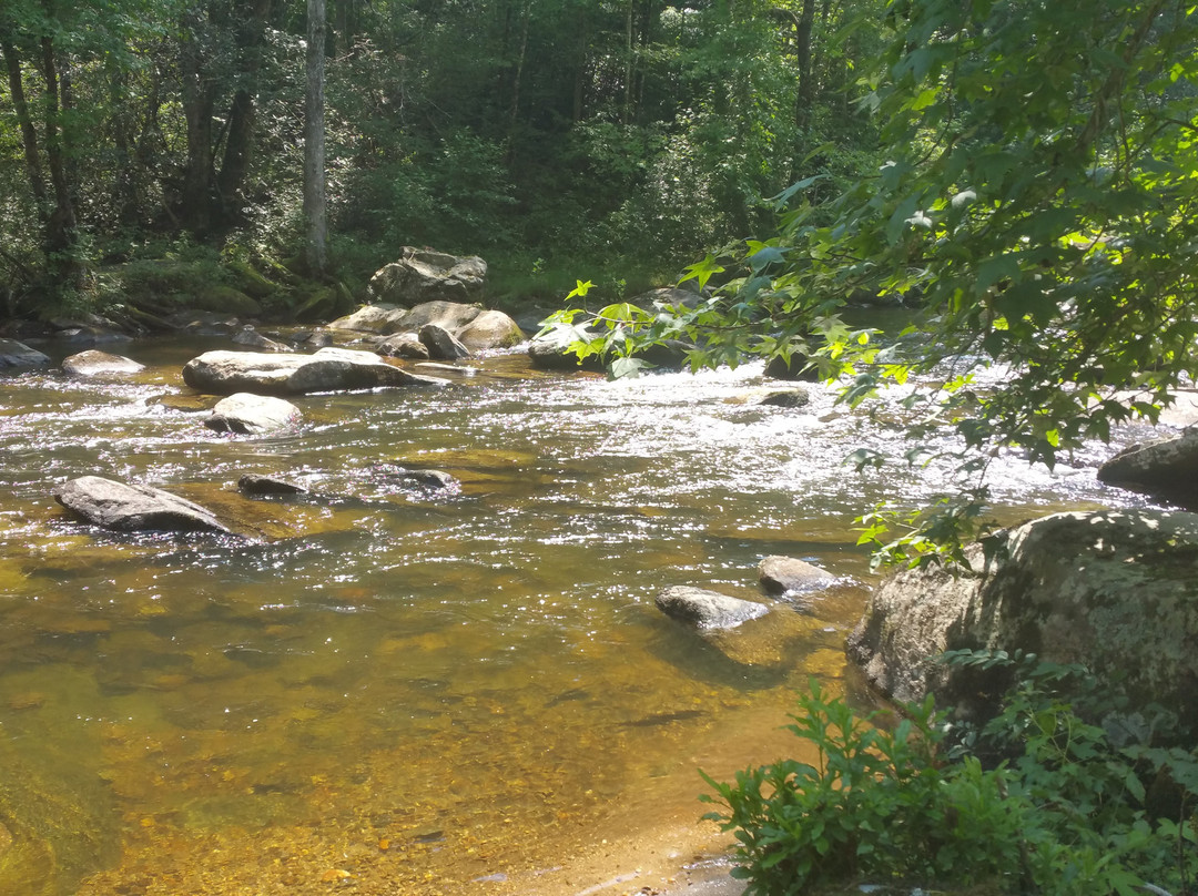 Gorges State Park景点图片