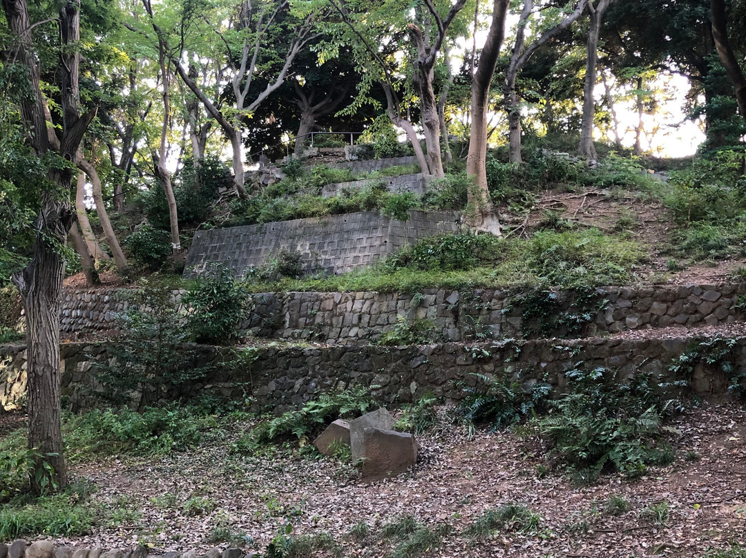 Prince Shiba Park景点图片